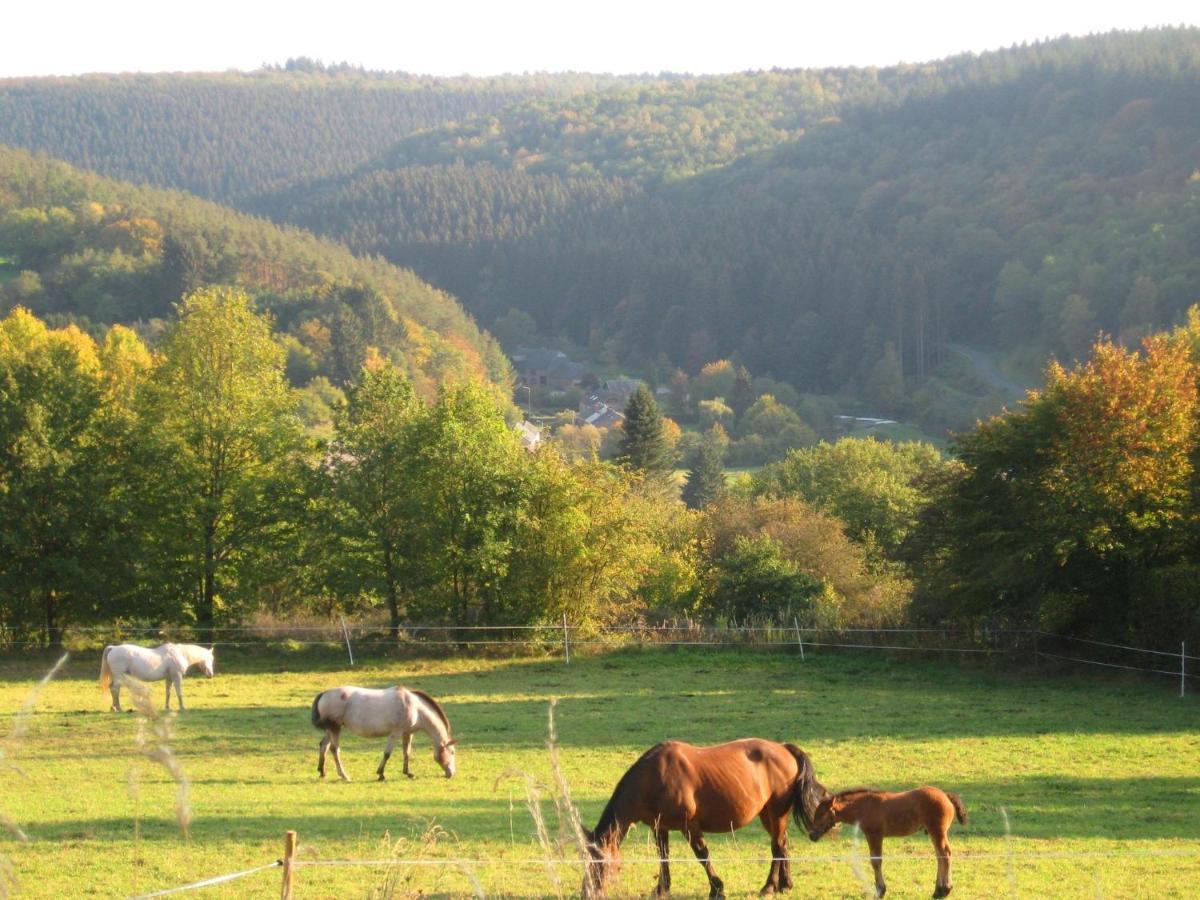 Pretty Cottage Ardennes Near The Valley Of Lesse Vencimont Esterno foto