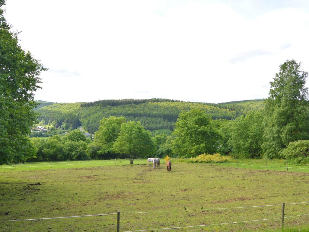 Pretty Cottage Ardennes Near The Valley Of Lesse Vencimont Esterno foto